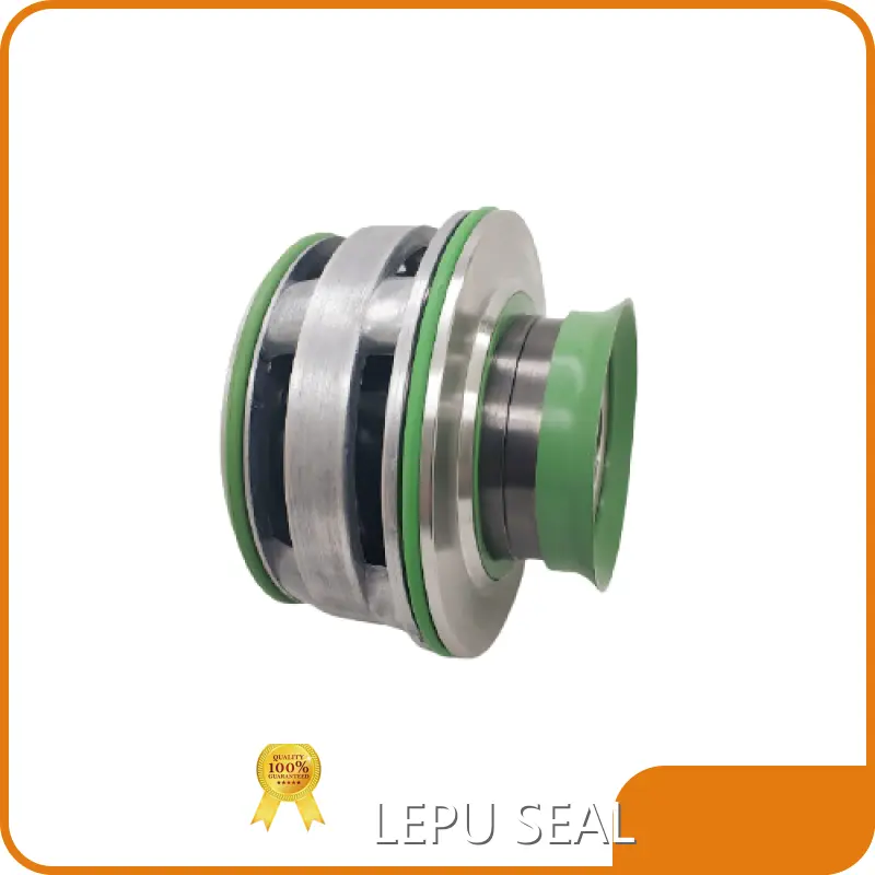 Flygt Submersible Pump Mechanical Seal OEM/ODM Availability - - Lepu Seal 1