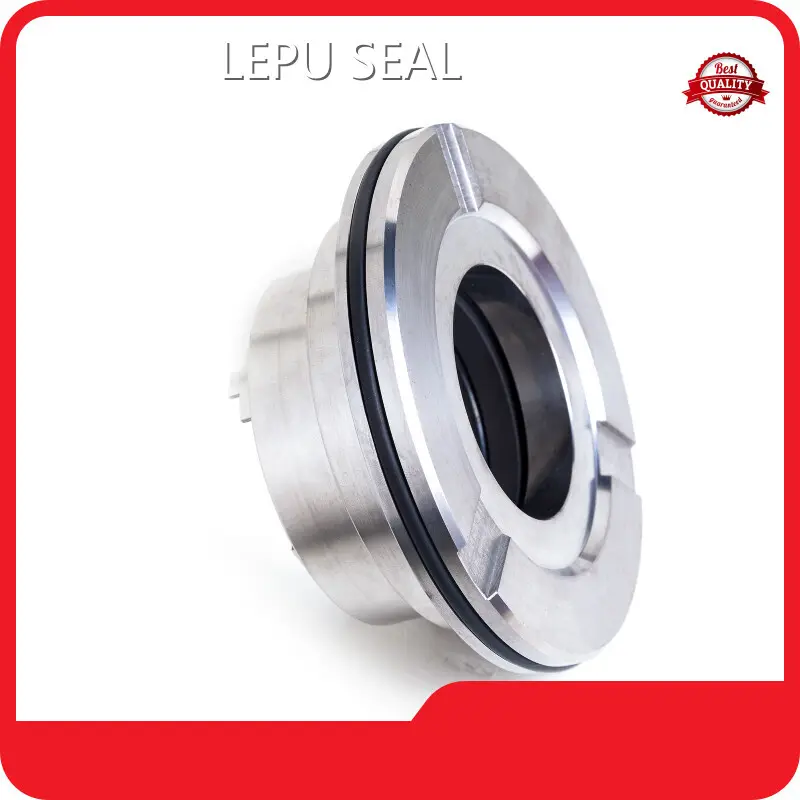 Blackmer Pump Seal GUANGZHOU Wholesale - Lepu Seal 1