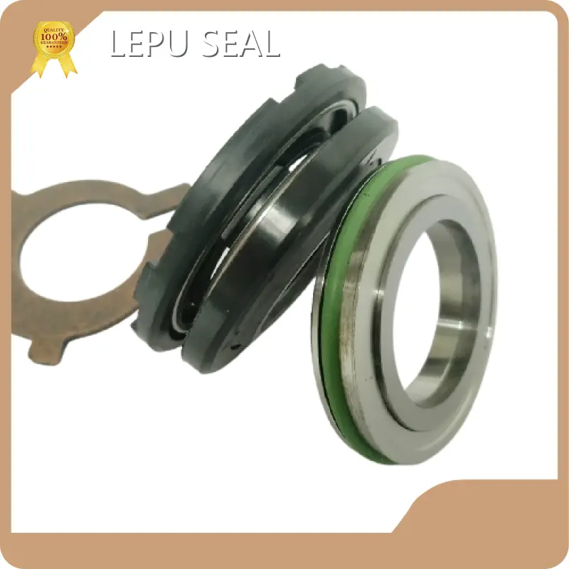 Flygt Mechanical Seal WESTERN UNION by Lepu Seal 1