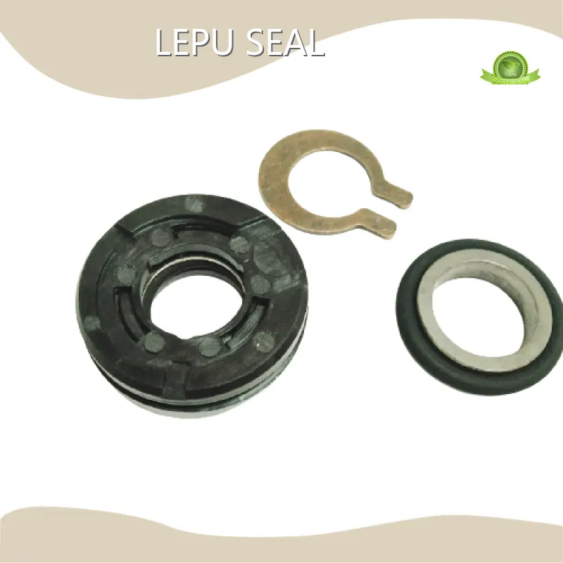 Flygt 3153 Mechanical Seal 5-7DAYS Wholesale - Lepu Seal 1