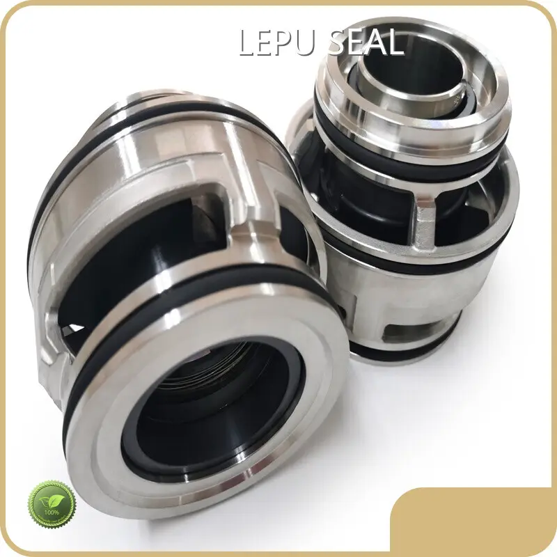 Cartridge Type Mechanical Seal LEPU by Lepu Seal 1