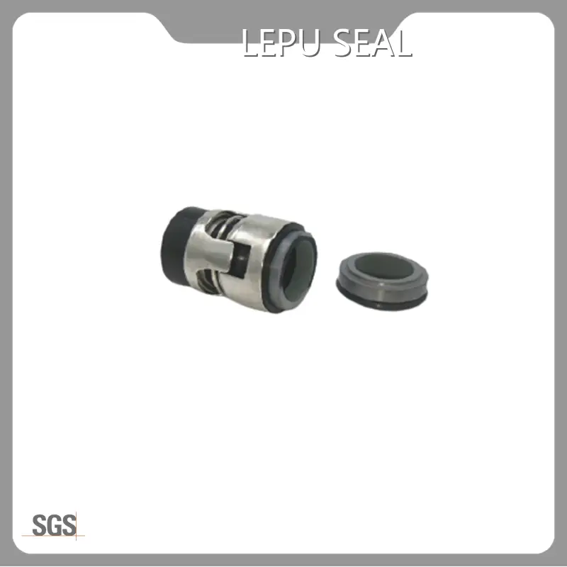 Grundfos Seal Kit GUANGZHOU Wholesale - Lepu Seal 1