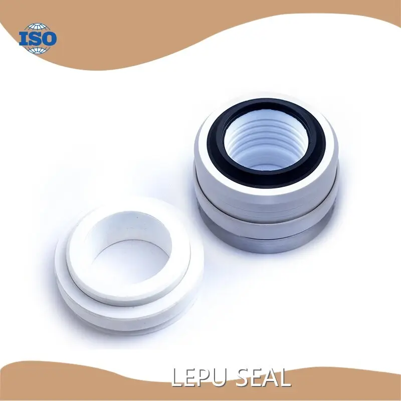 Ptfe Bellows SGS Wholesale - Lepu Seal 1