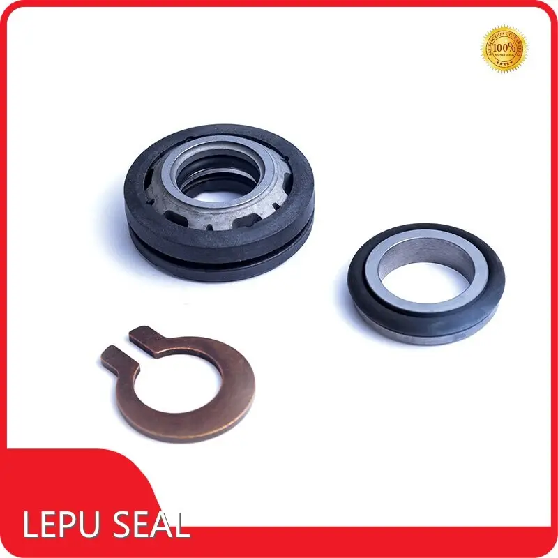 Mechanical Seals for Flygt Pumps FSG-L Wholesale - Lepu Seal 1