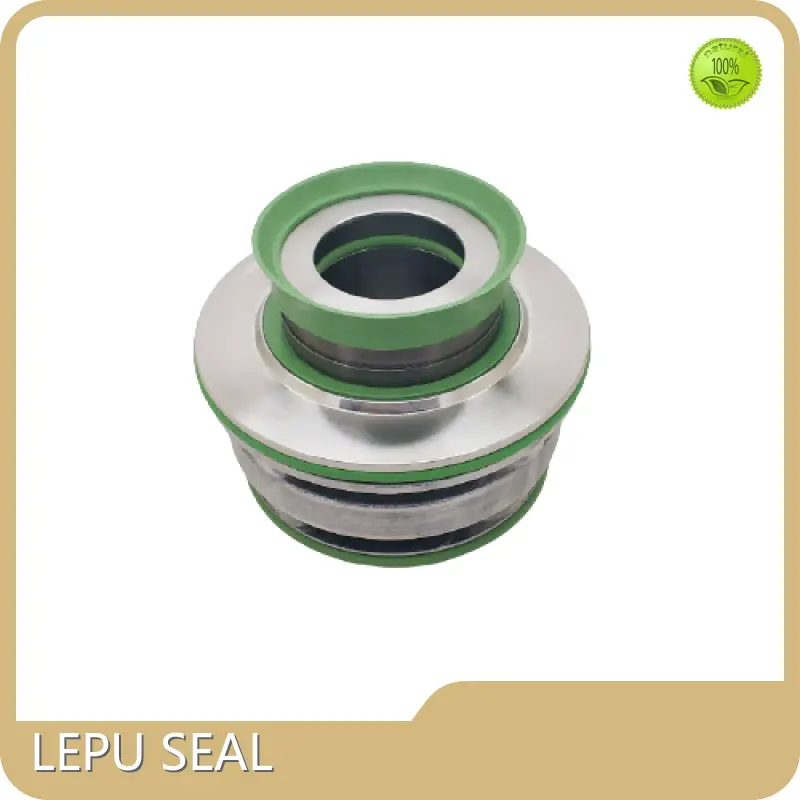 Flygt Mechanical Seal Guangzhou by Lepu Seal 1