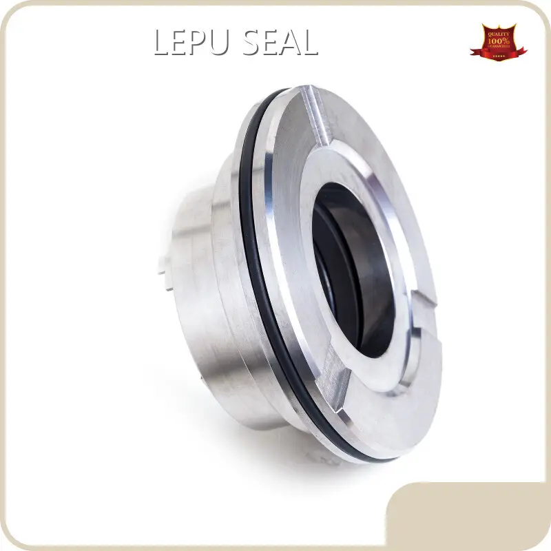 Blackmer Pump Seal LEPU Wholesale - Lepu Seal 1