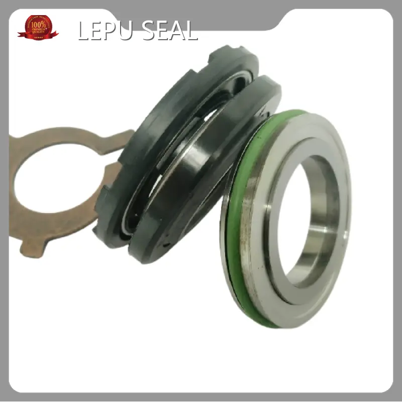 Flygt 3153 Mechanical Seal 5-7DAYS Wholesale - Lepu Seal-1 1