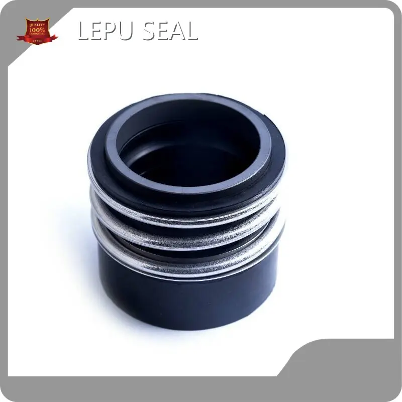 Eagleburgmann Seals Patent Certificate of LIP CARTRIDGE SEAL Wholesale - Lepu Seal 1
