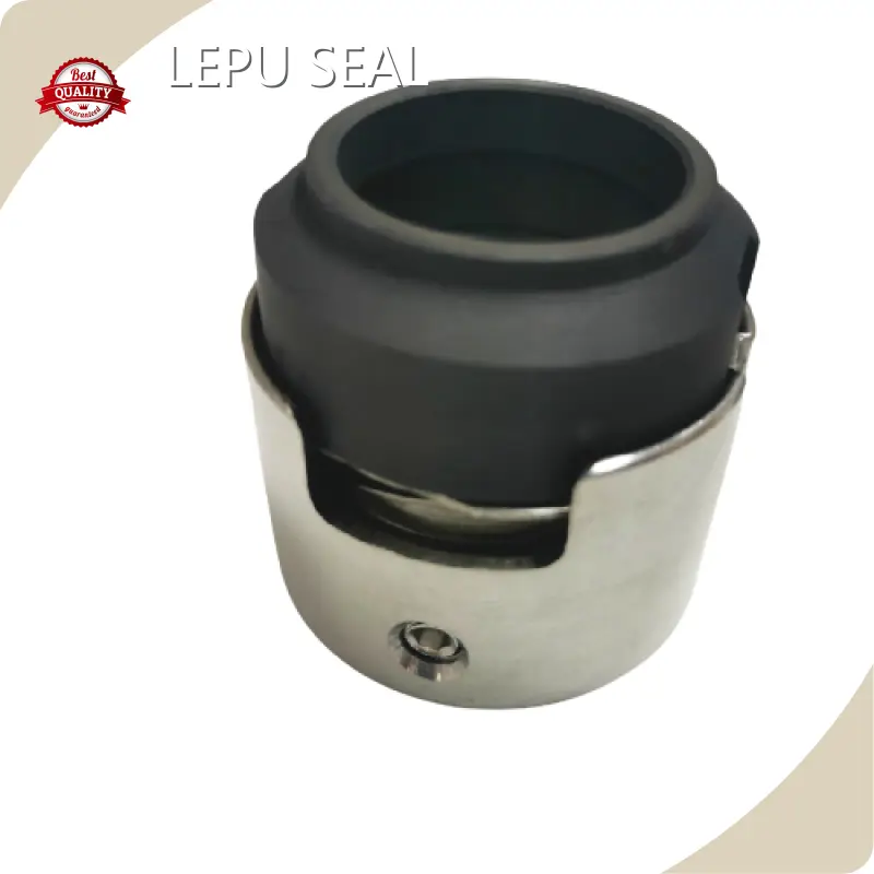 Burgmann Mechanical Seal Suppliers Sic/sic/viton Sus304 Wholesale - Lepu Seal 1