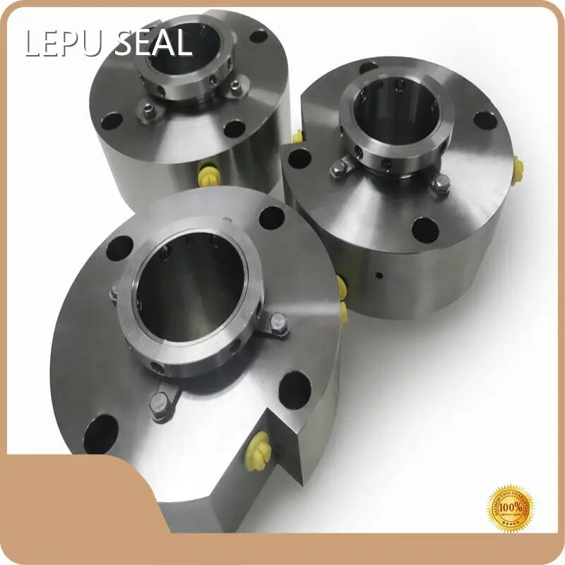 Eagleburgmann Seals LEPU - - Lepu Seal 1
