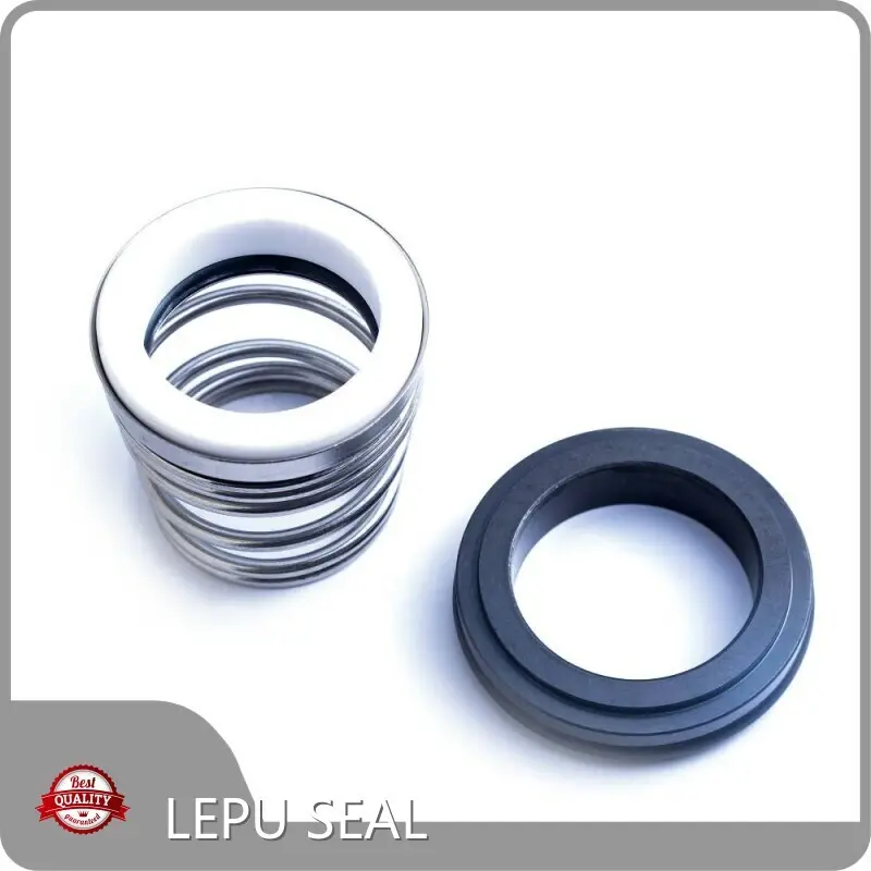 Eagle Burgmann Mechanical Seals for Pumps ISO by Lepu Seal 1