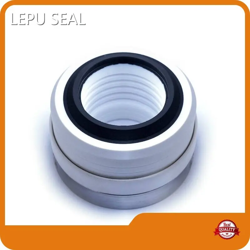 Burgmann Mechanical Seal LEPU Wholesale - Lepu Seal 1