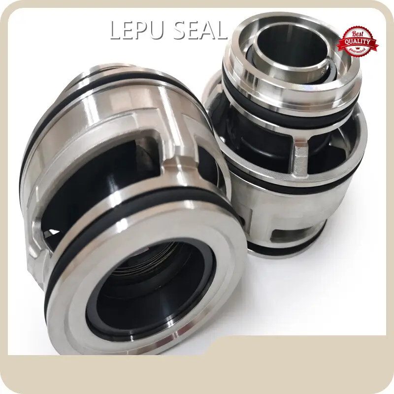 Double Cartridge Seal LP-sarlin Seal - - Lepu Seal 1
