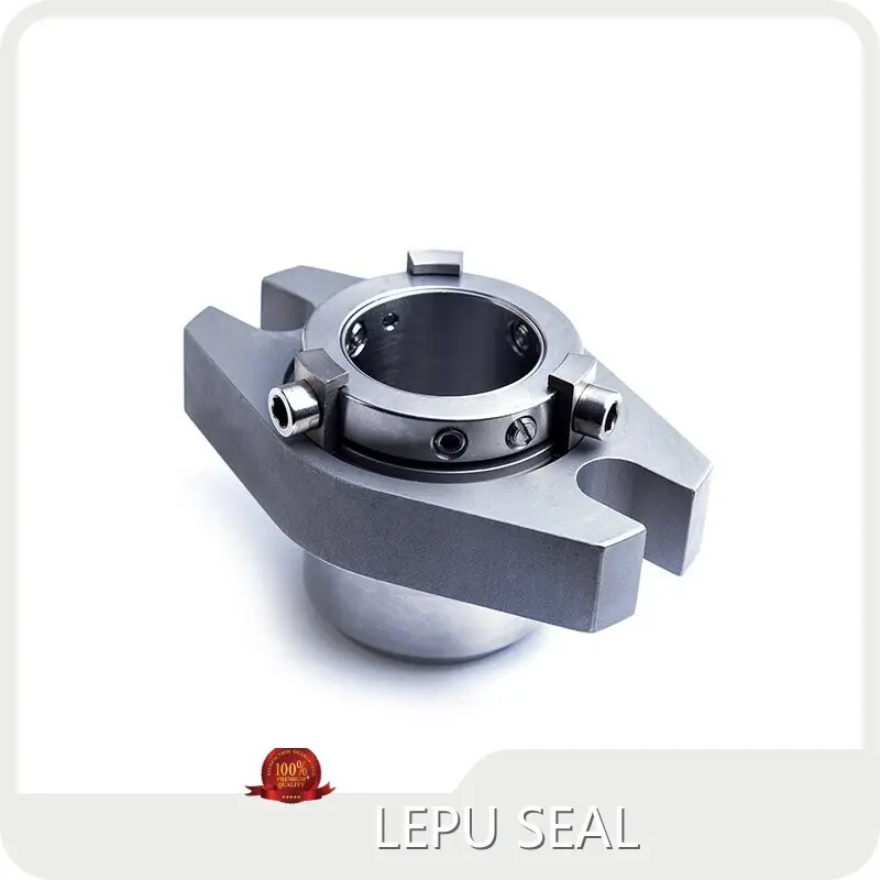 AES Cartridge Seal SS304 Or SS316 - - Lepu Seal 1
