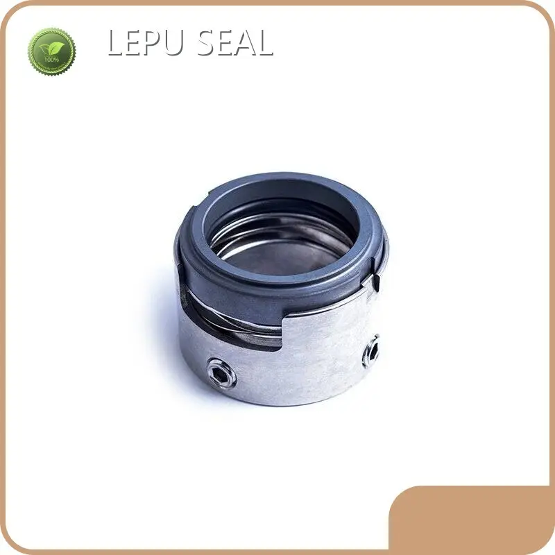 Pump Seal Yes by Lepu Seal 1