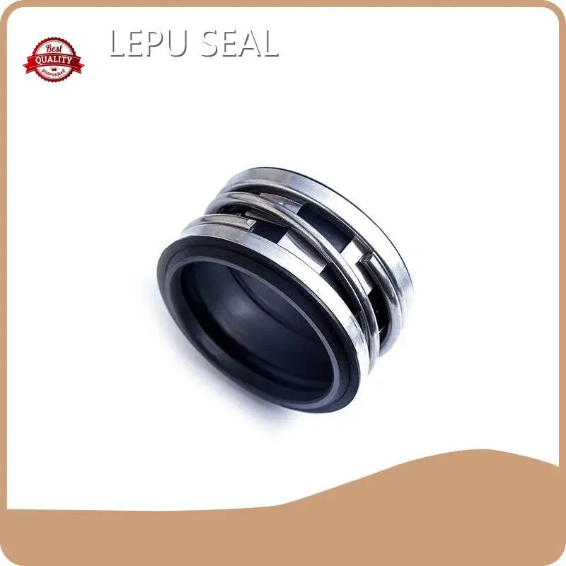 Elastomer Seal Design Lepu - - Lepu Seal 1