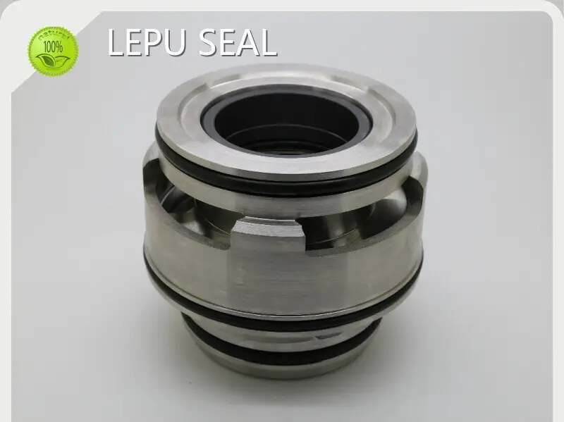 Grundfos Mechanical Shaft Seals 30DAYS - - Lepu Seal 1