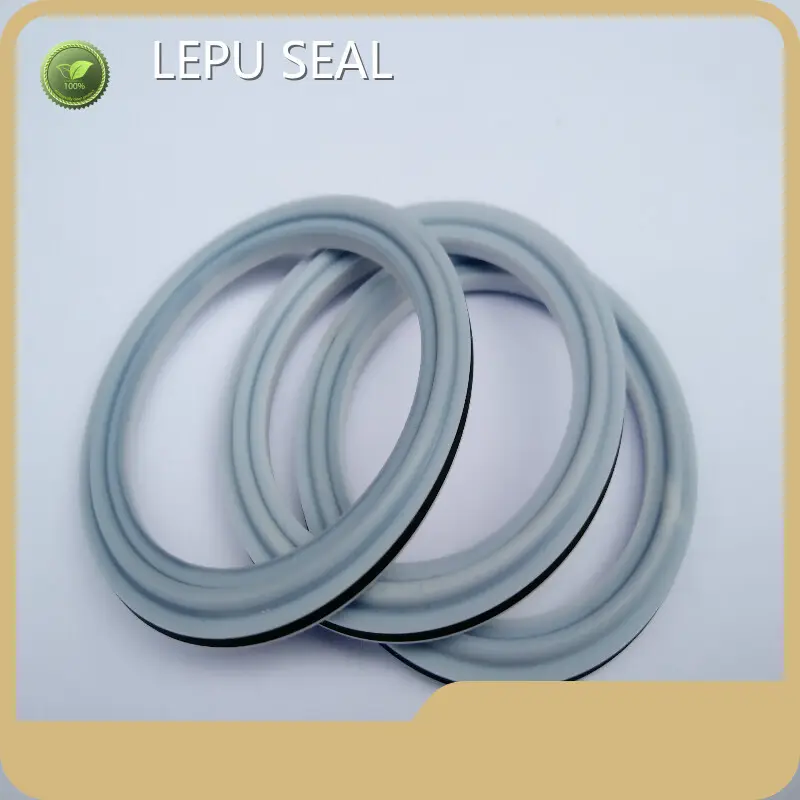 Sic Rings PTFE Wholesale - Lepu Seal 1