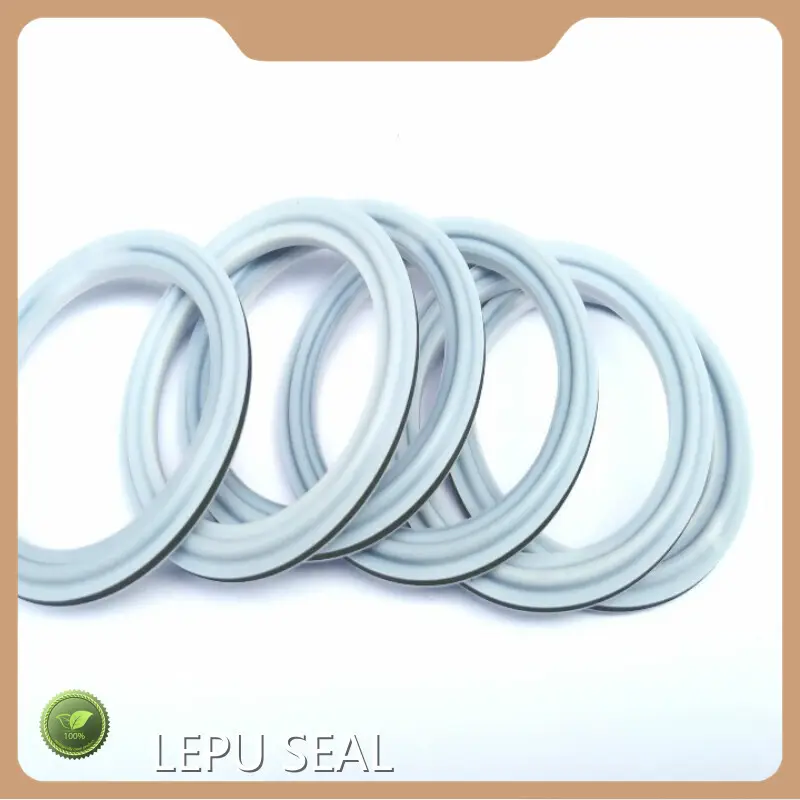Silicon Carbide Ring 1.5inch by Lepu Seal 1