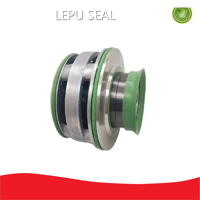 Flygt Mechanical Seal 3-5 Day Wholesale - Lepu Seal 1