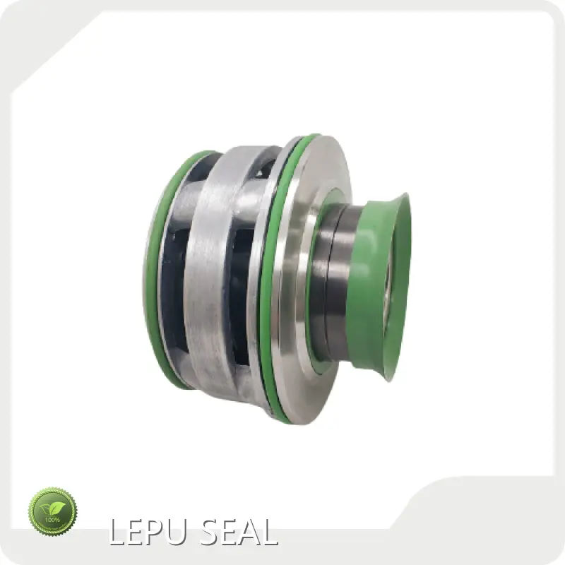 Mechanical Seals for Flygt Pumps OEM/ODM Availability Wholesale - Lepu Seal 1