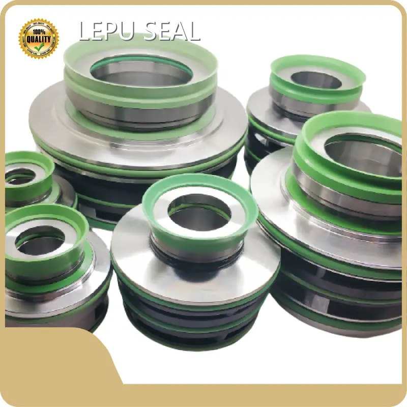 Flygt Pump Mechanical Seal 3-5 Day by Lepu Seal 1
