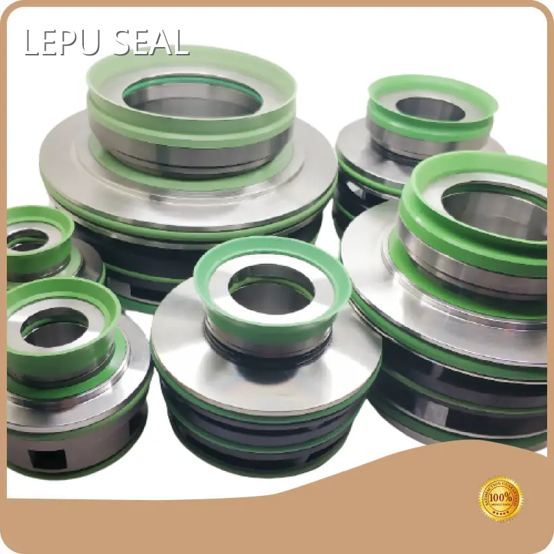 Flygt Pump Mechanical Seal Guangzhou Wholesale - Lepu Seal 1
