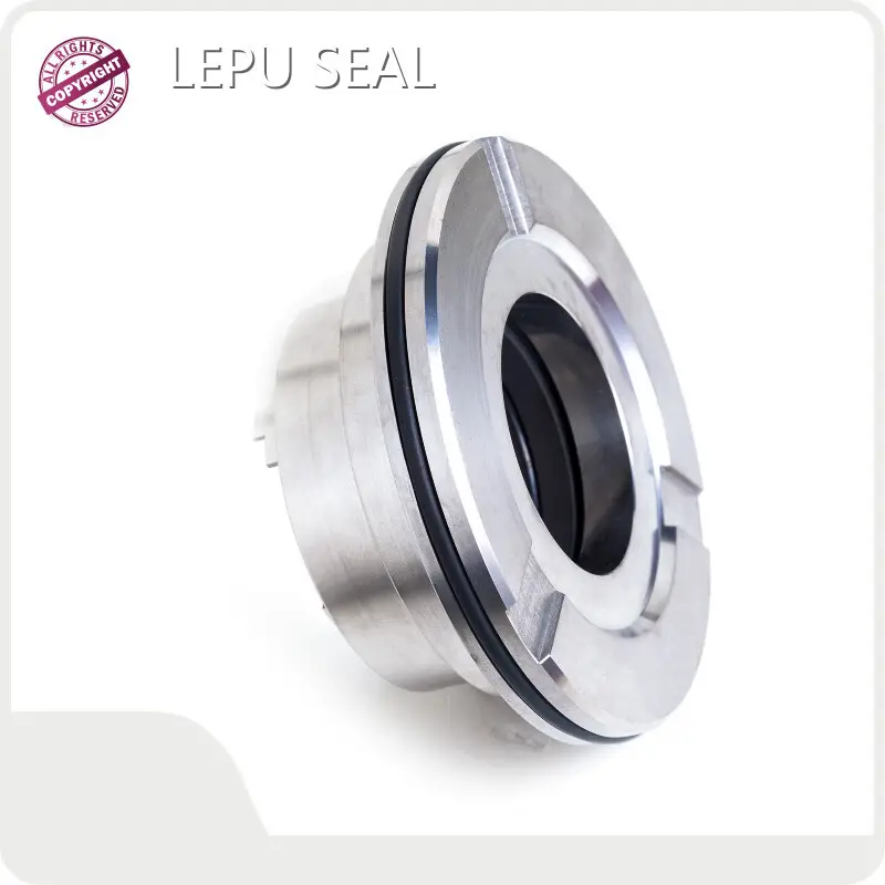 Blackmer Pump Seal Factory LEPU Wholesale - Lepu Seal 1