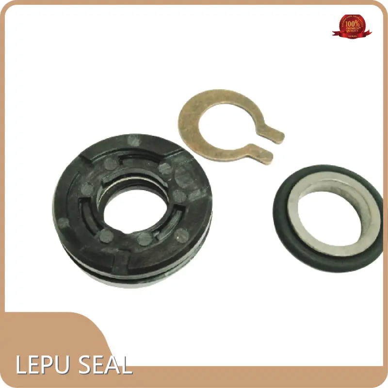 Flygt Mechanical Seal L/C Wholesale - Lepu Seal 1