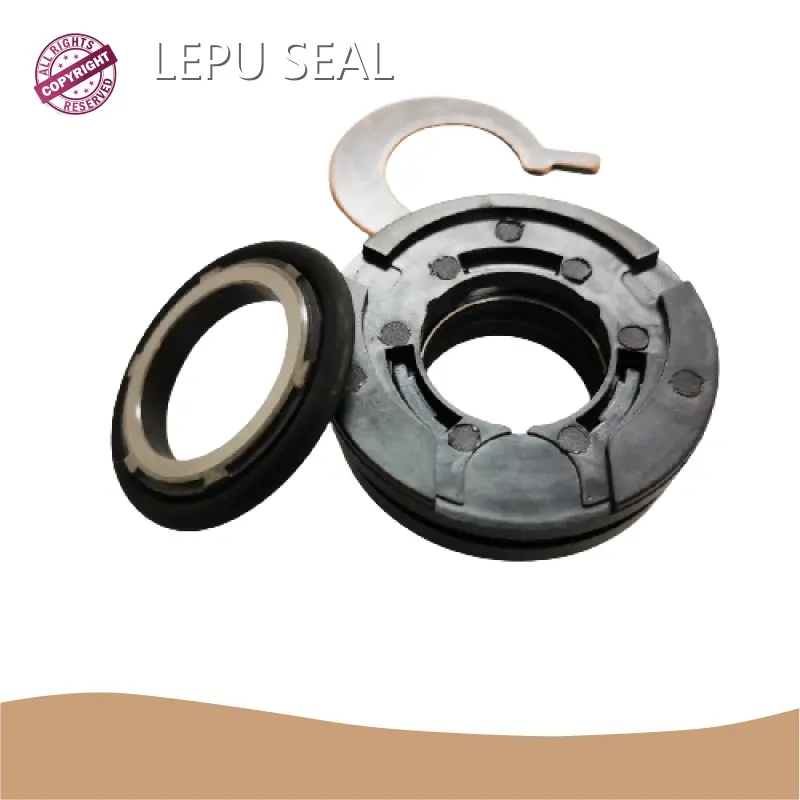 Flygt Pump Mechanical Seal TC/TC/VIT by Lepu Seal 1
