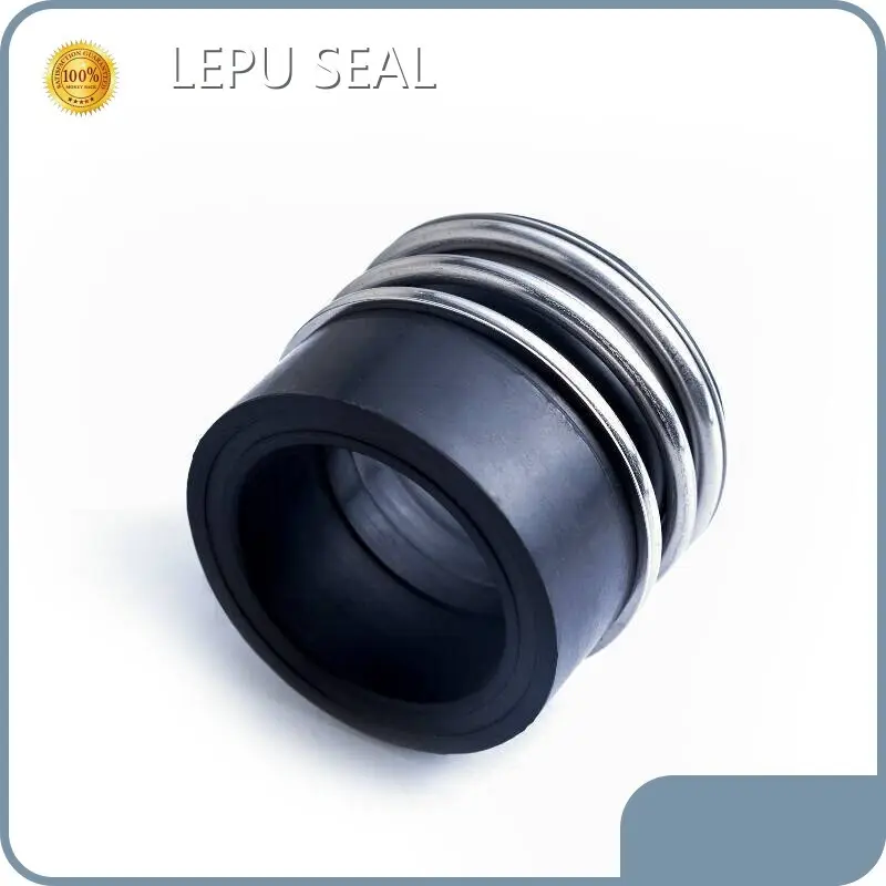 Burgmann Mechanical Seal Mg1 L/C Wholesale - Lepu Seal 1