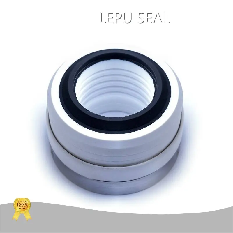 Eagleburgmann Seals Sic/sic/ptfe Sus304 Wholesale - Lepu Seal 1