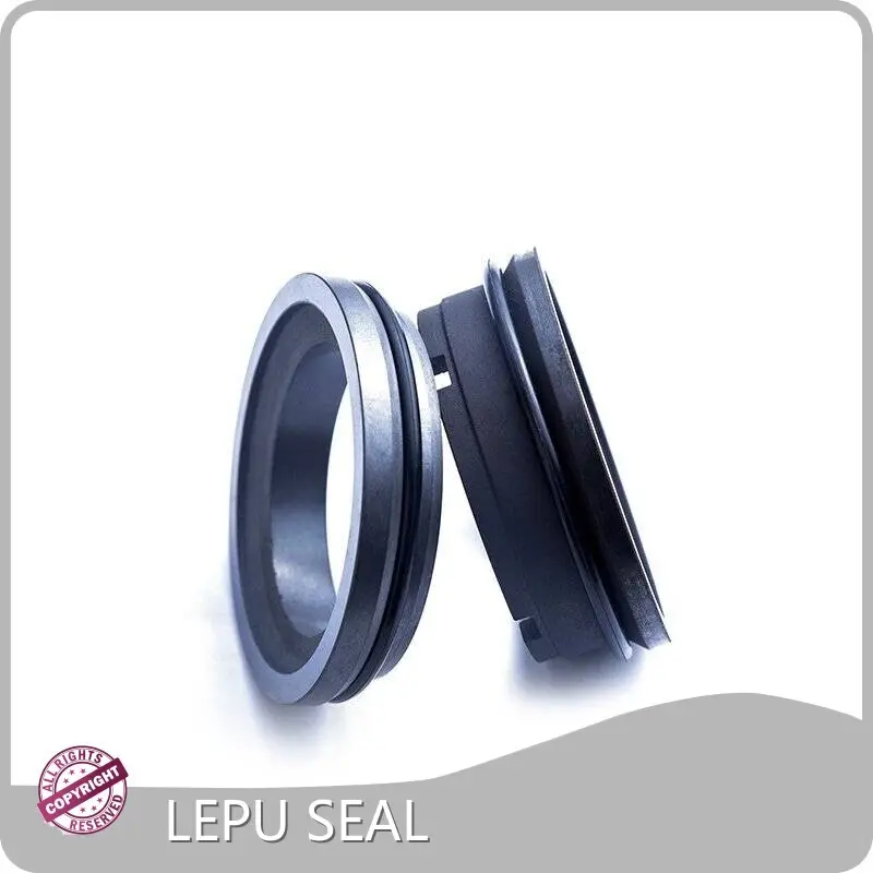 APV Mechanical Seal Manufacturers AS by Lepu Seal 1