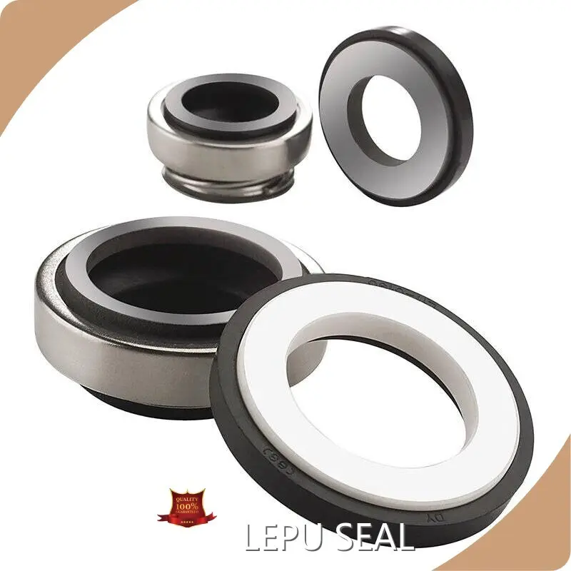 Burgmann Mechanical Seal Catalogue 6-70mm by Lepu Seal 1