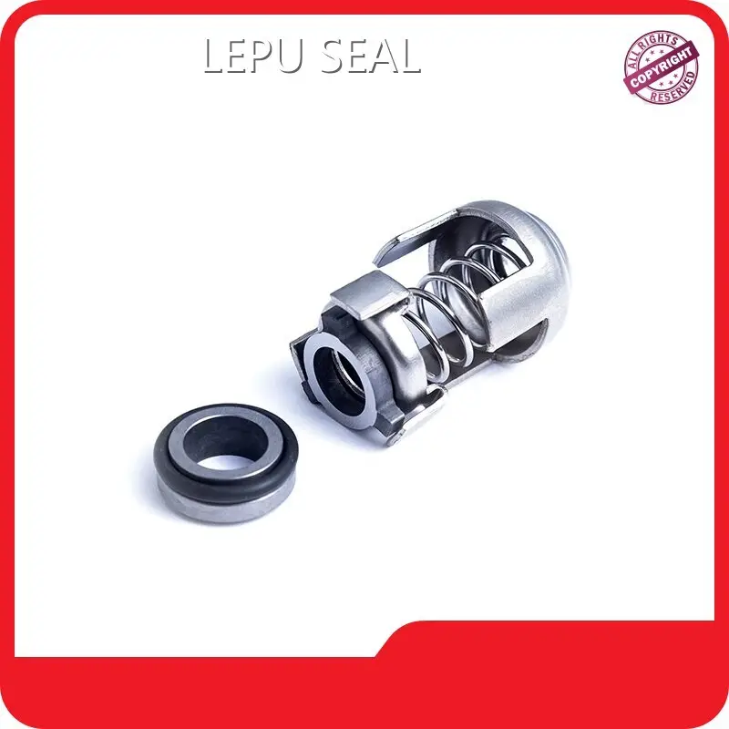 Grundfos Pump Seal Kit CE/UL/SGS/… Wholesale - Lepu Seal 1