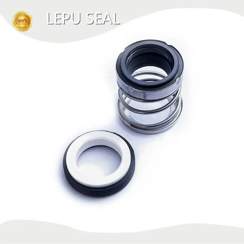John Crane Mechanical Seal Suppliers L/C Wholesale - Lepu Seal 1