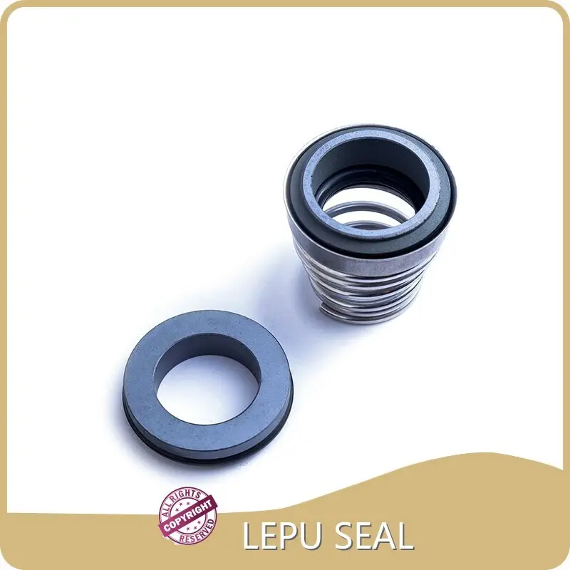 Viton O Ring T/T Wholesale - Lepu Seal 1