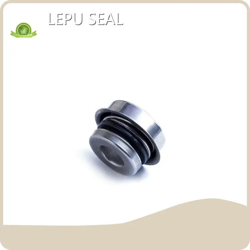 Water Pump Seals Automotive 30DAYS by Lepu Seal 1