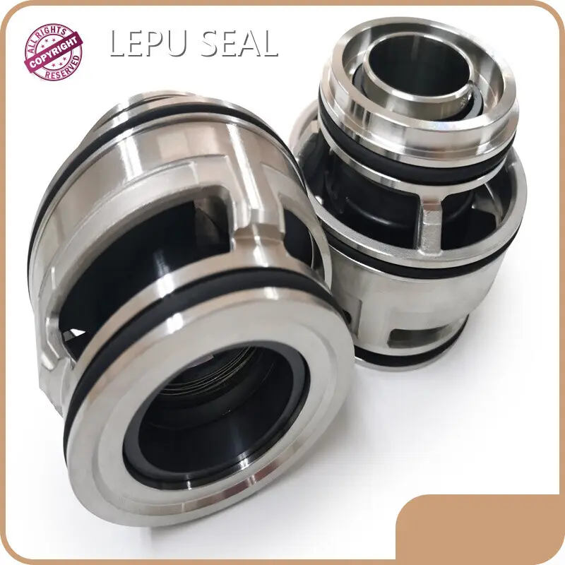 Double Cartridge Seal Lepu Seal Wholesale - Lepu Seal 1
