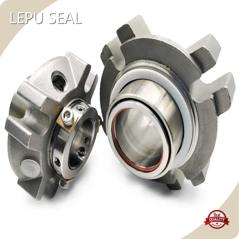 Double Cartridge Seal CARBON/SSIC/TC/EPDM/CAST IRON by Lepu Seal 1