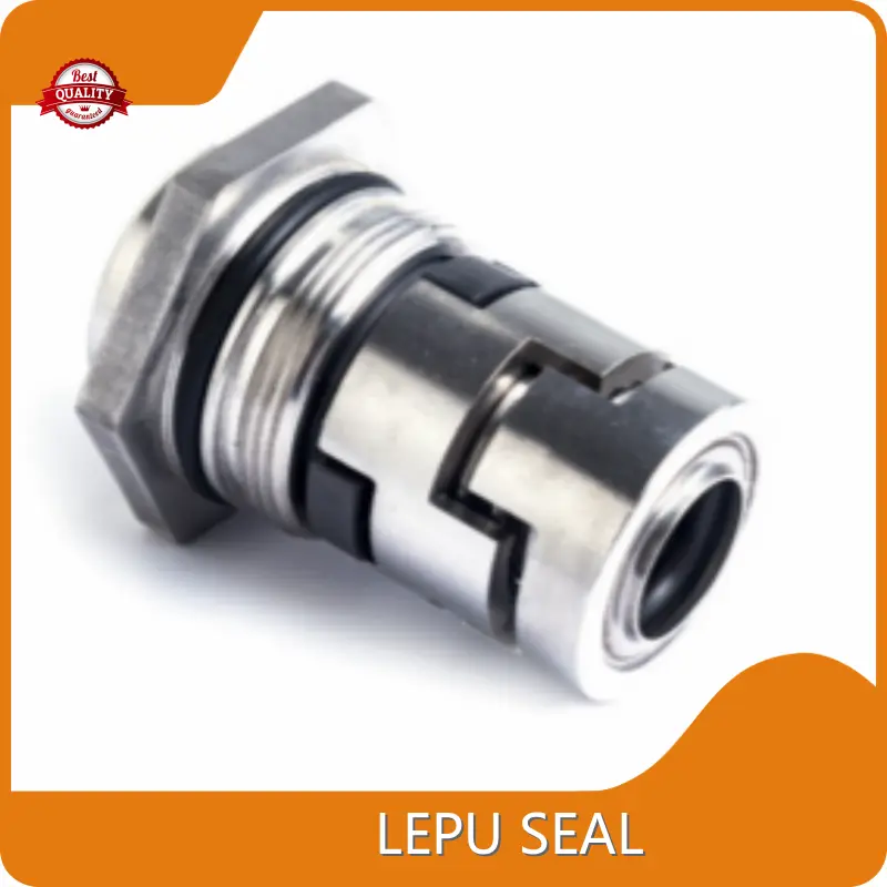 Grundfos Pump Seal Replacement GLF-C-22 Wholesale - Lepu Seal 1