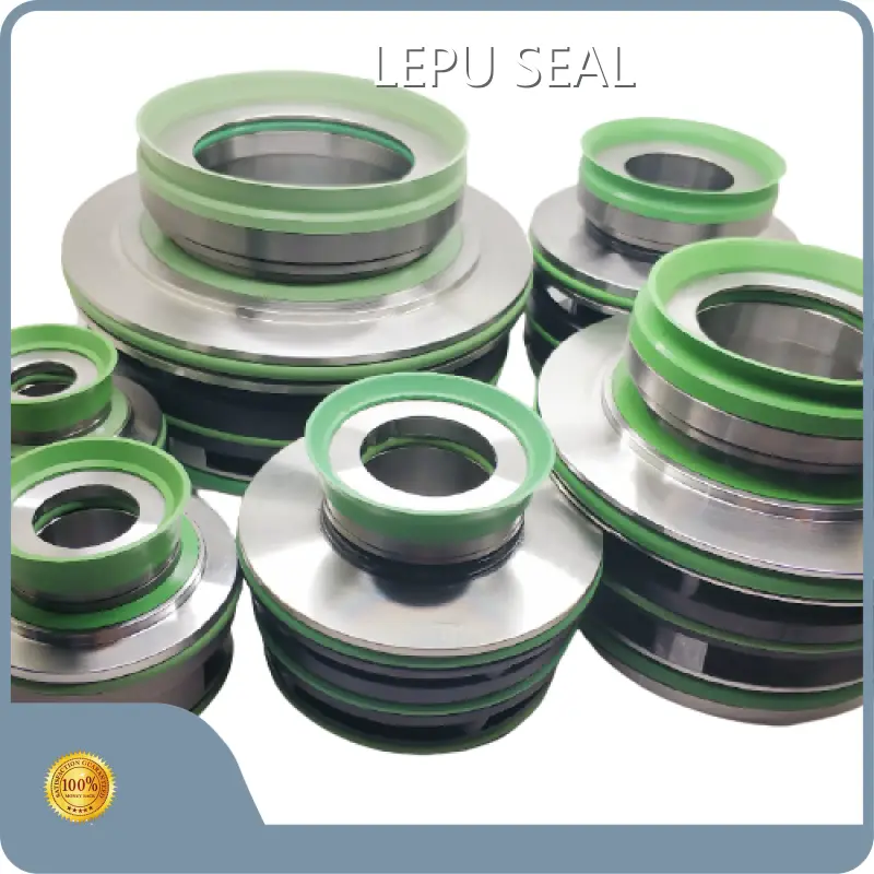 Flygt Mechanical Seals Flygt Cartridge Seal Wholesale - Lepu Seal 1