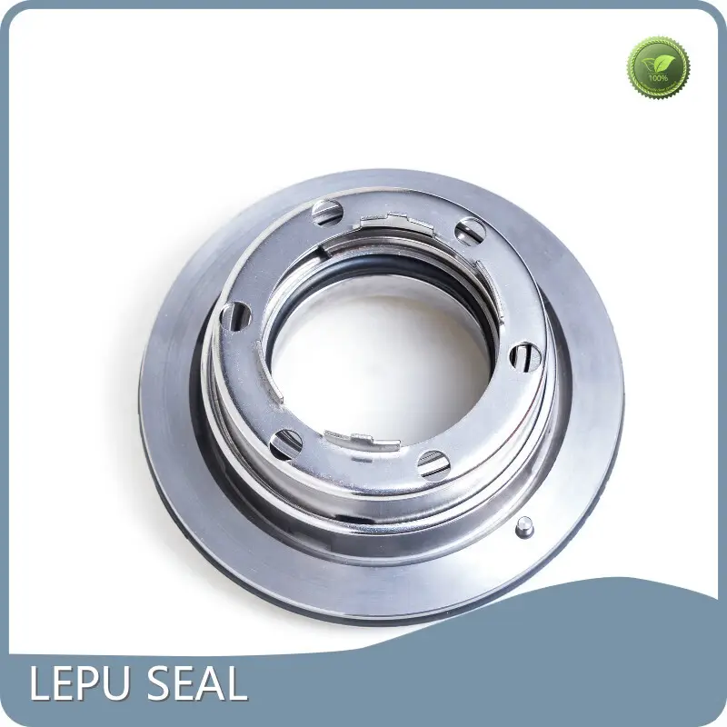 Mechanical Seal for Blackmer Pump 55mm. by Lepu Seal 1