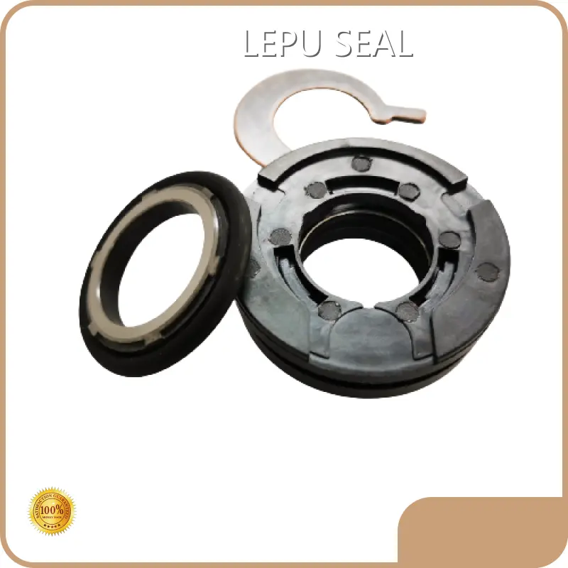 Flygt Pump Mechanical Seal L/C Wholesale - Lepu Seal 1