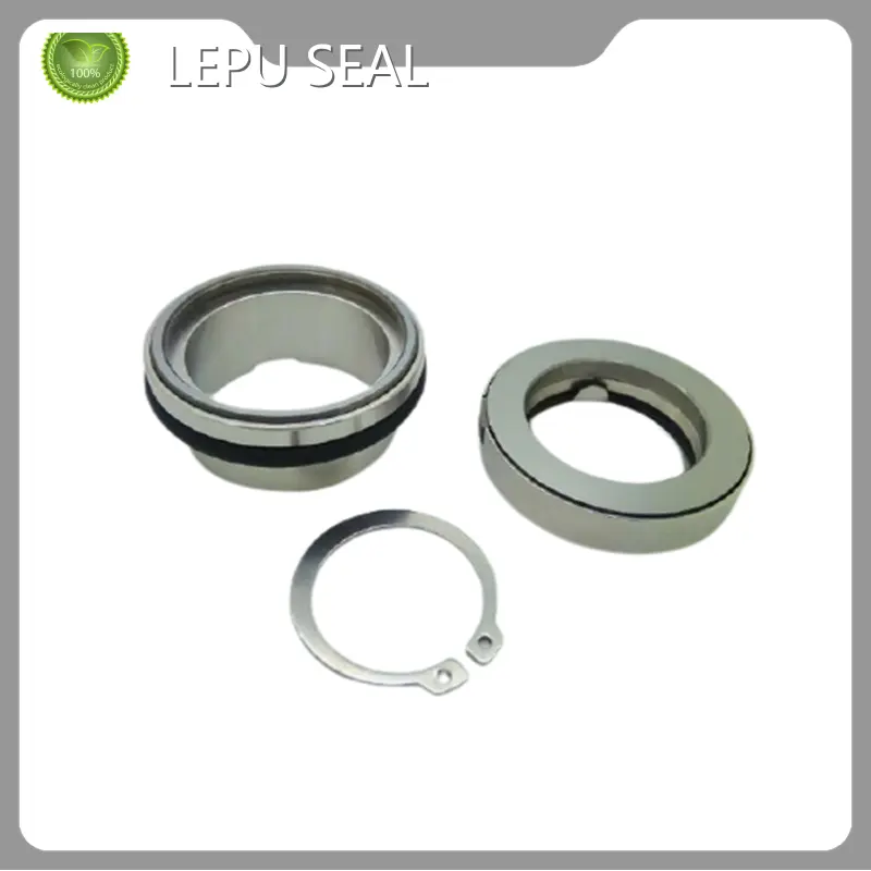 Flygt Seals GUANGZHOU Wholesale - Lepu Seal-1 1