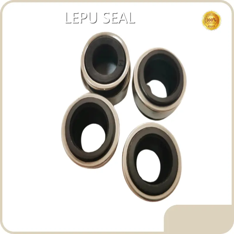 Burgmann M7n Seal LP-301 - - Lepu Seal 1