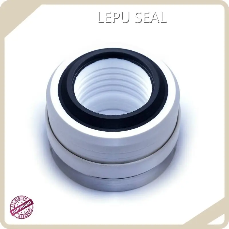 Burgmann Mechanical Seal Selection Guide 20-30DAYS Wholesale - Lepu Seal 1