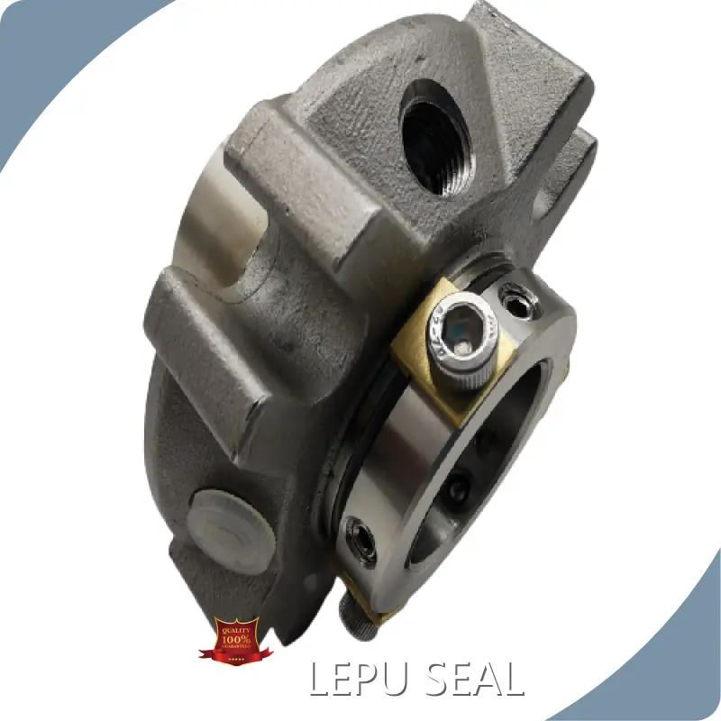 Double Cartridge Seal YES by Lepu Seal 1