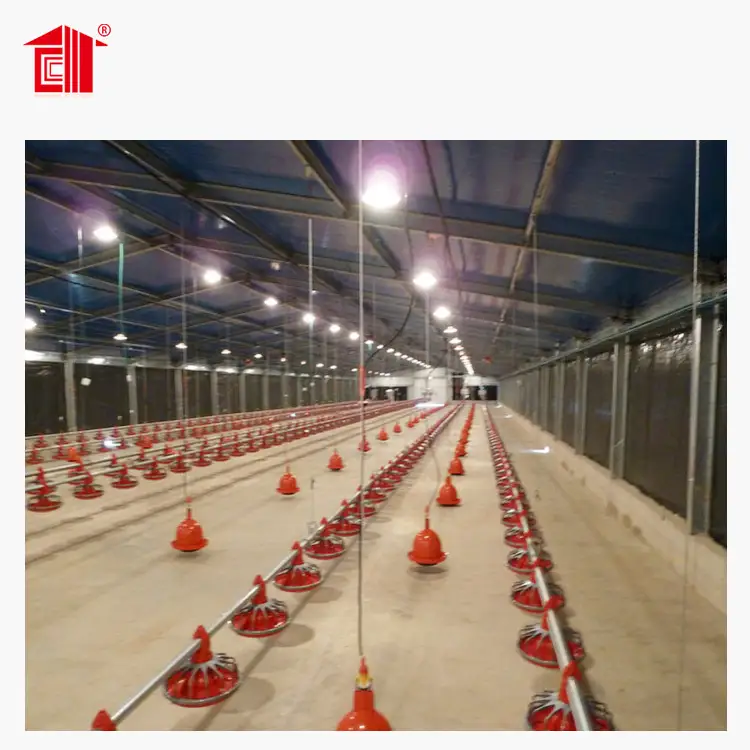 2025 Estructura de acero Almacenador de aves de corral de almacén cobertizo & Equipo agrícola 1
