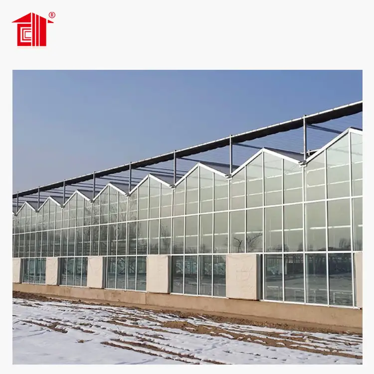 Prefab Greenhouse with Sandwich Panel & Steel Structure Lida Group 1